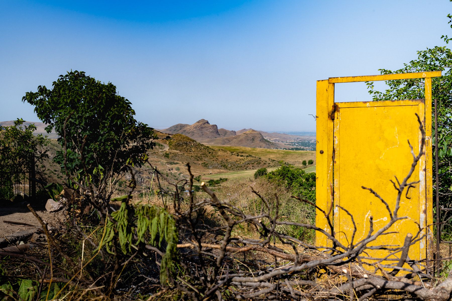 A bright yellow door stands among dry branches